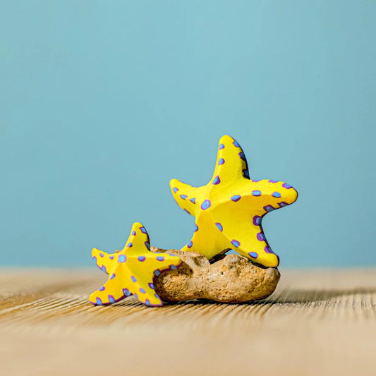 Bumbu | Yellow Starfish Set