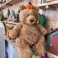Jellycat | Bartholomew Bear Pumpkin