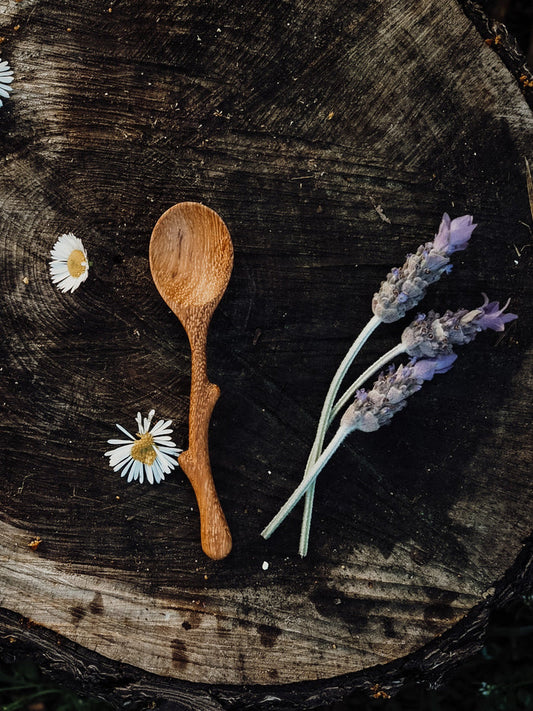 Wild Mountain Child | Mini Twig Spoon