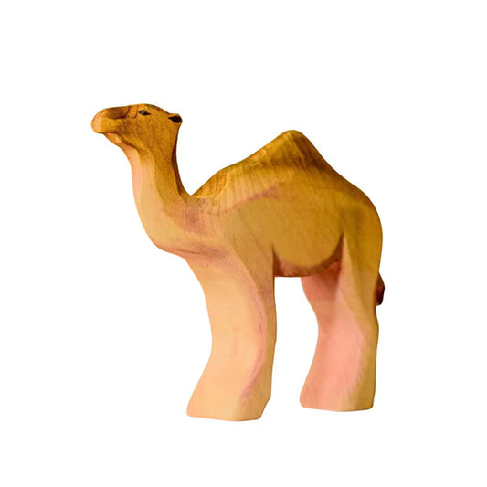 Bumbu | Camel