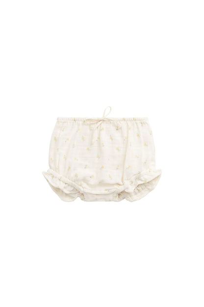 Jamie Kay | Frill Bloomer '25 (various)