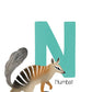 Book | My Aussie Plants & Animals
