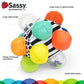 Sassy Baby | Bumpy Ball (various)