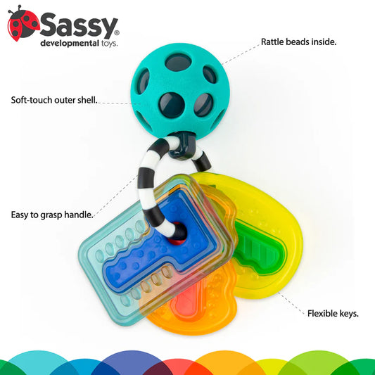 Sassy Baby | Drive n' Drool Keys