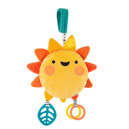 Sassy Baby | My Little Sunshine Musical Mirror
