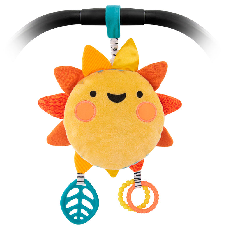 Sassy Baby | My Little Sunshine Musical Mirror