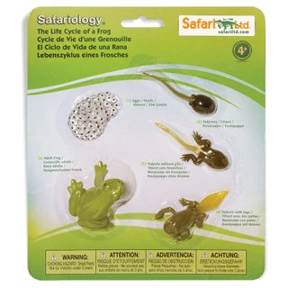 Safari LTD | Life Cycle Sets (various)