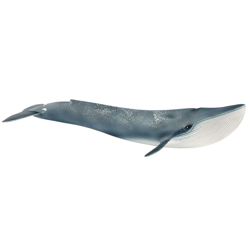 Schleich | Blue Whale