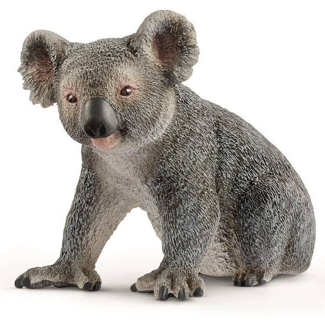 Schleich | Koala