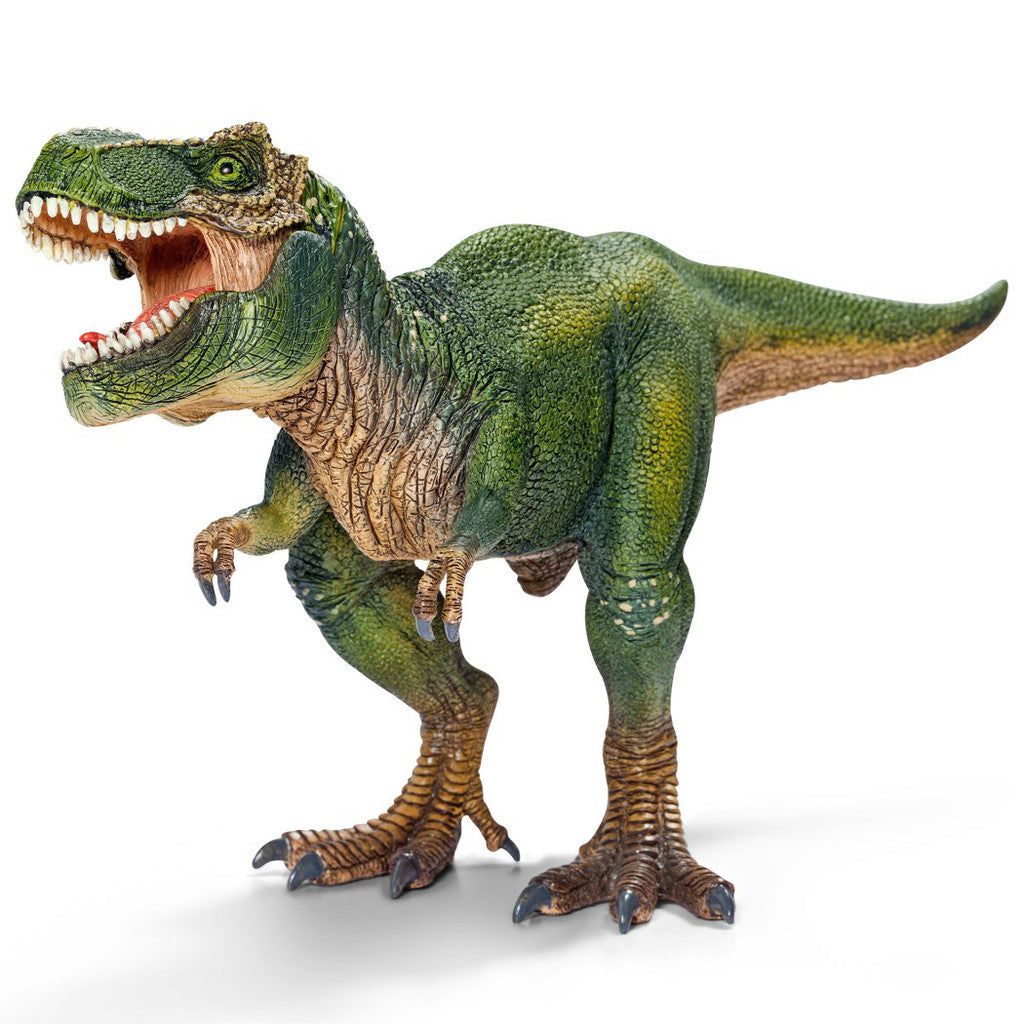 Schleich | Tyrannosaurus Rex (various)