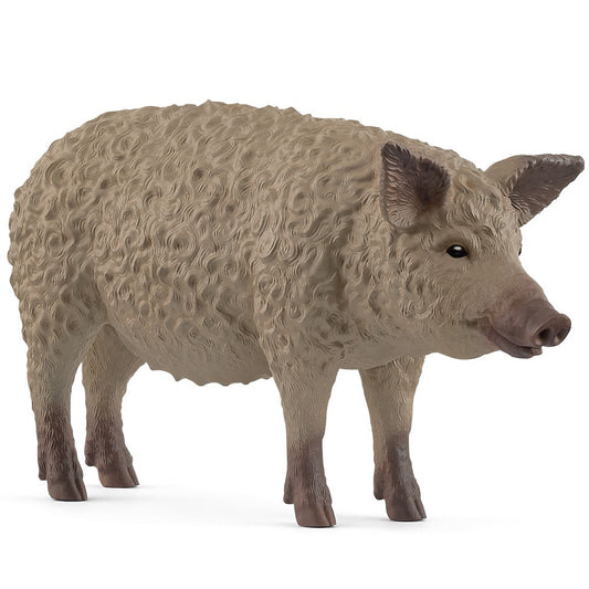 Schleich | Mangalica Pig