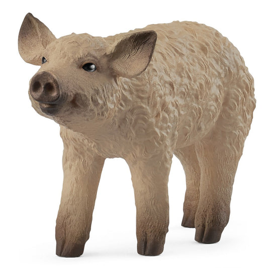 Schleich | Mangalica Piglet
