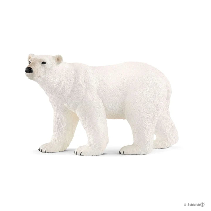 Schleich | Polar Bear