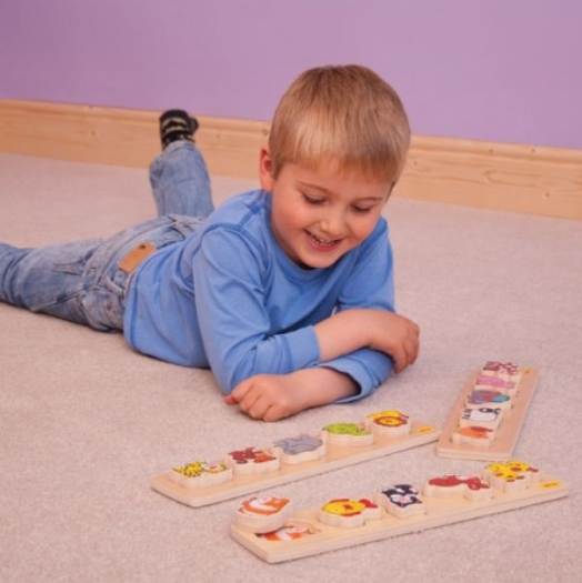 Bigjigs | Chunky Lift Out Puzzle Board (various)