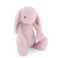 Jamie Kay | Penelope the Bunny (various)