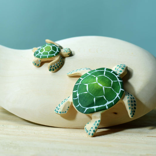 Bumbu | Baby Green Turtle