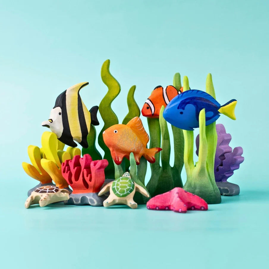 Bumbu | Tropical Fishes (various)