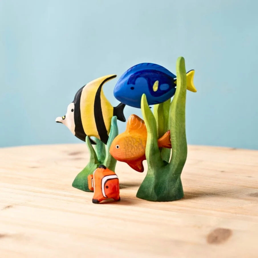 Bumbu | Tropical Fishes (various)