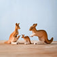 Bumbu | Kangaroos (various)