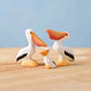 Bumbu | Pelicans (various)