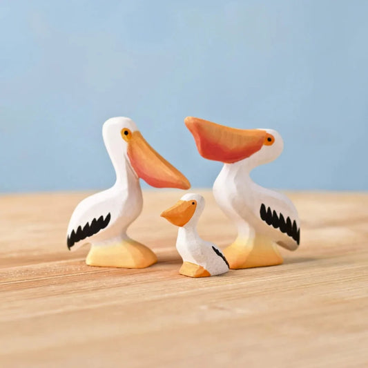 Bumbu | Pelicans (various)