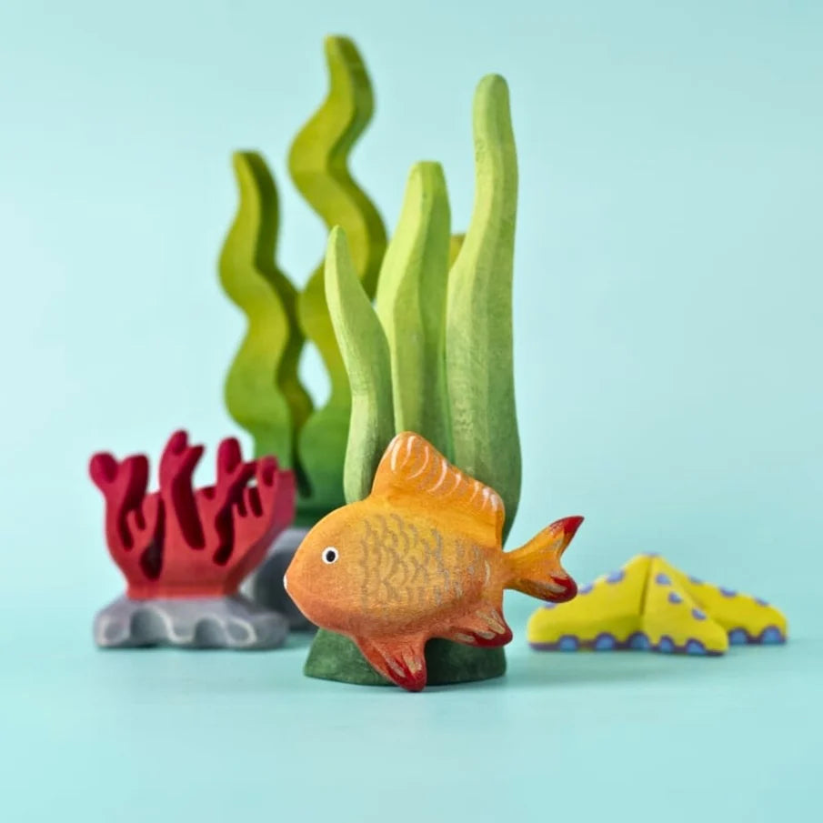 Bumbu | Tropical Fishes (various)