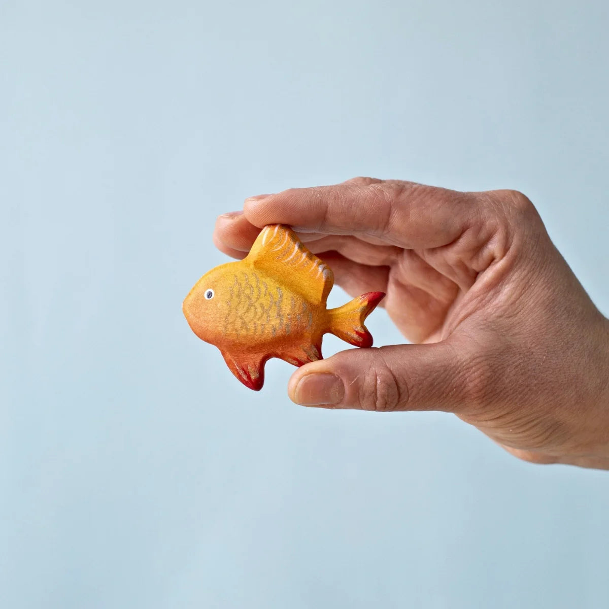 Bumbu | Tropical Fishes (various)