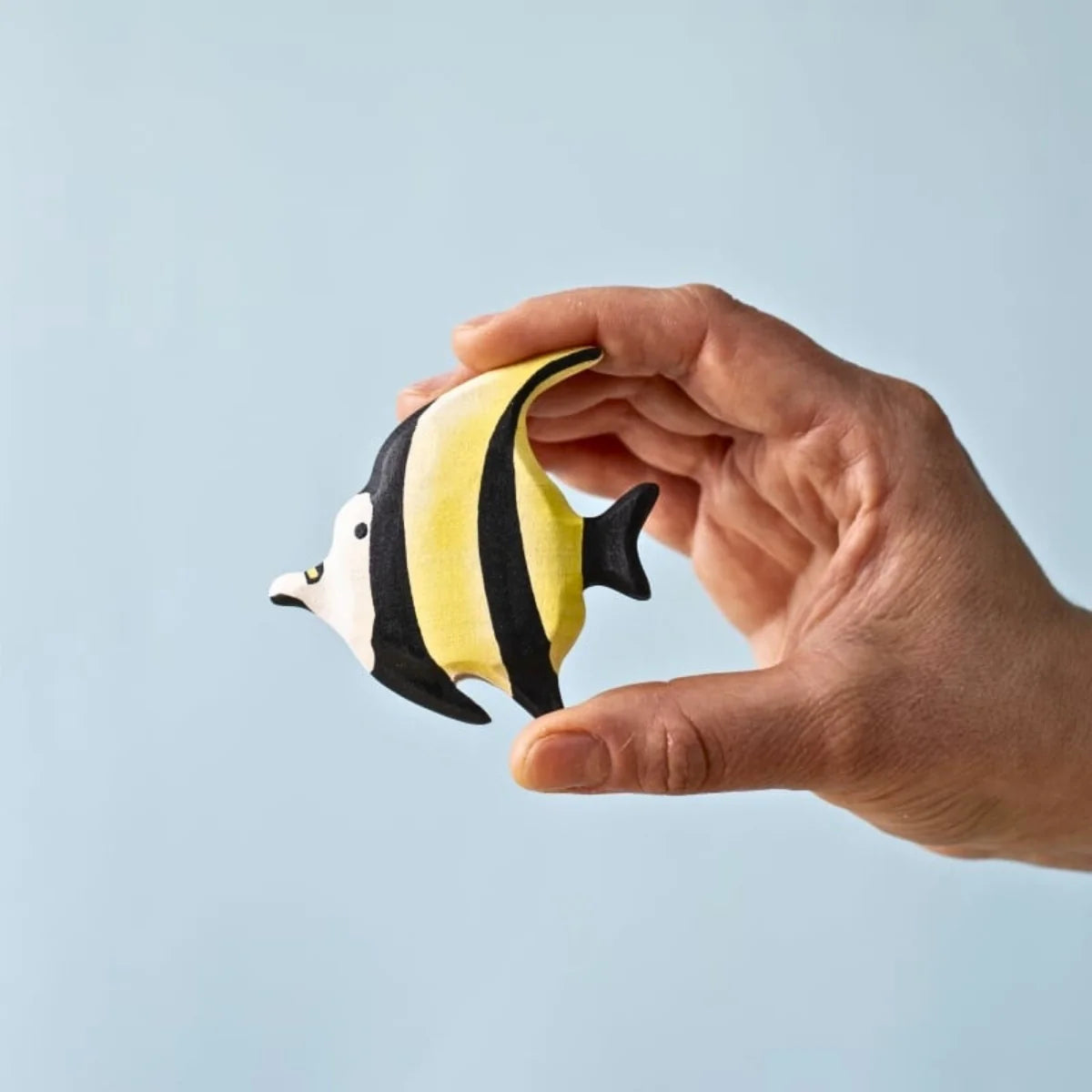 Bumbu | Tropical Fishes (various)
