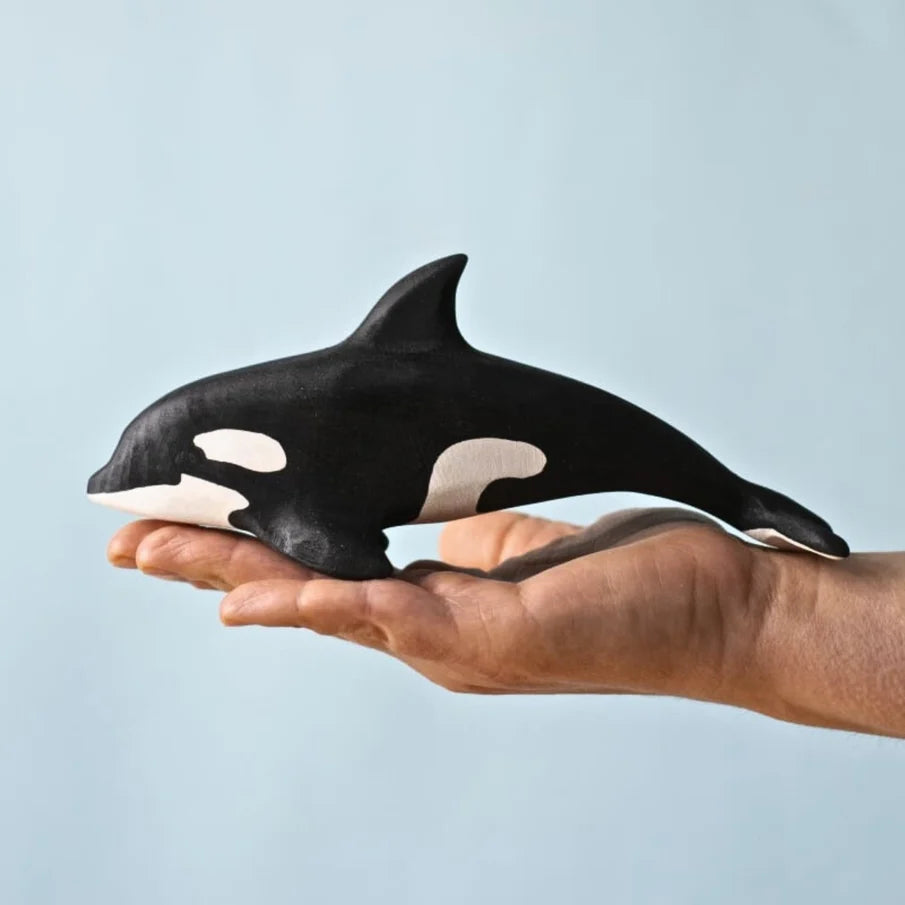 Bumbu | Orca (various)