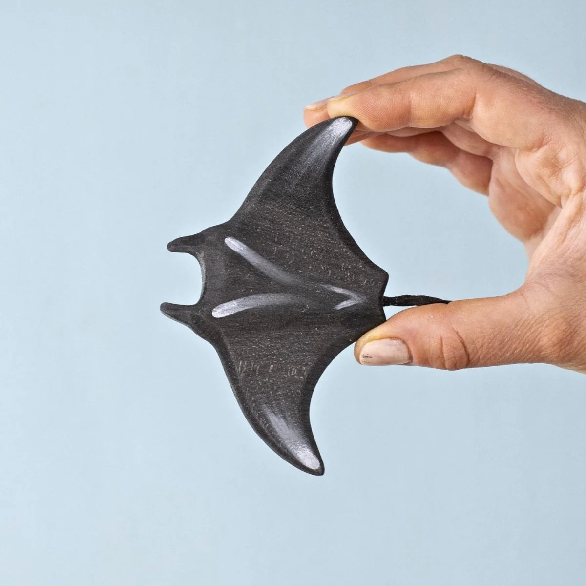 Bumbu | Reef Manta Ray