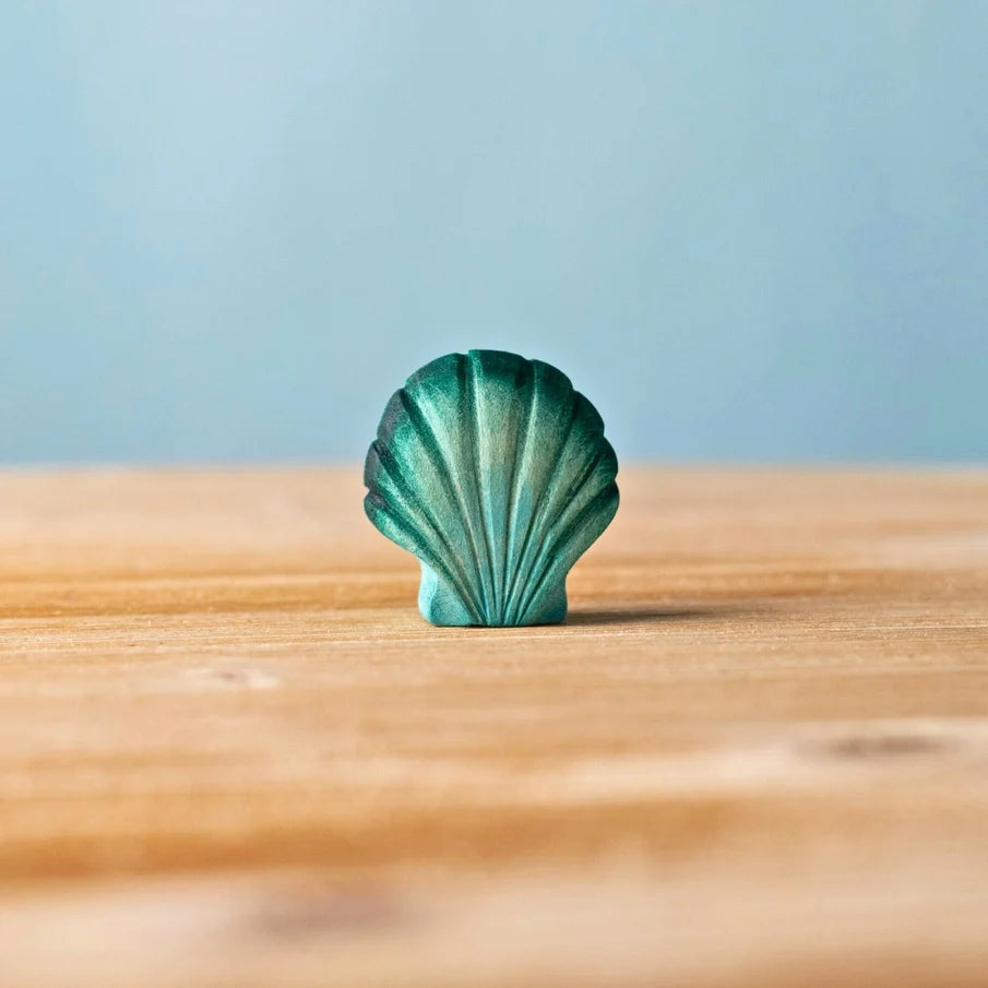 Bumbu | Shells (various)