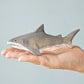 Bumbu | Shark (various)