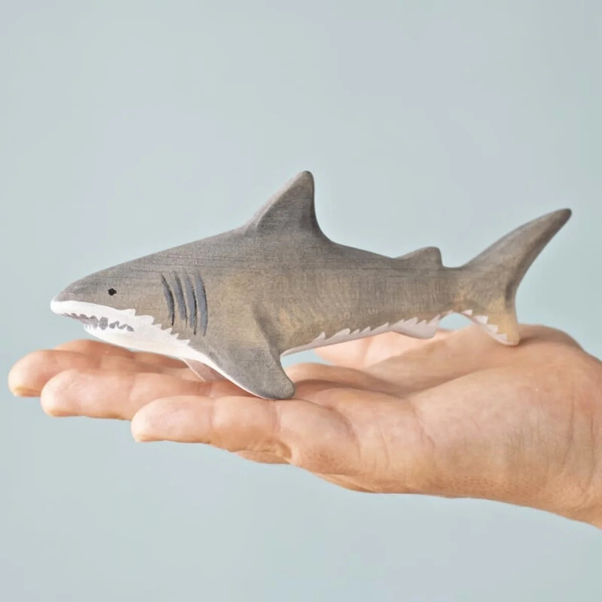 Bumbu | Shark (various)