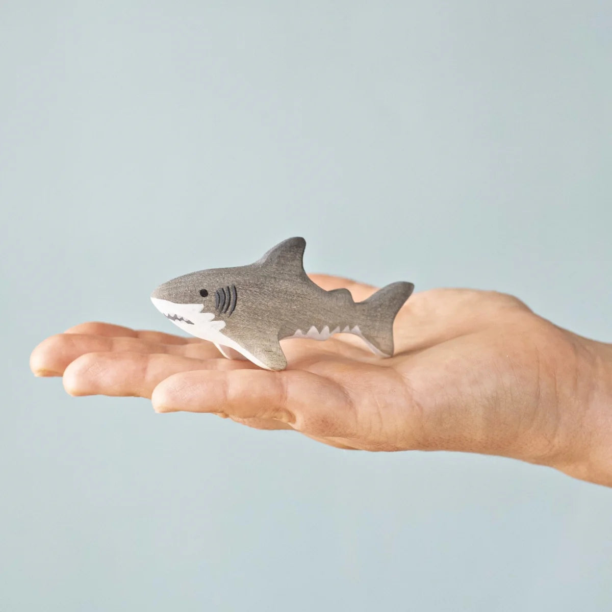 Bumbu | Shark (various)