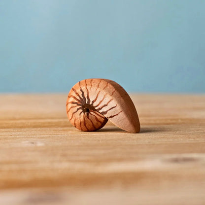 Bumbu | Shells (various)