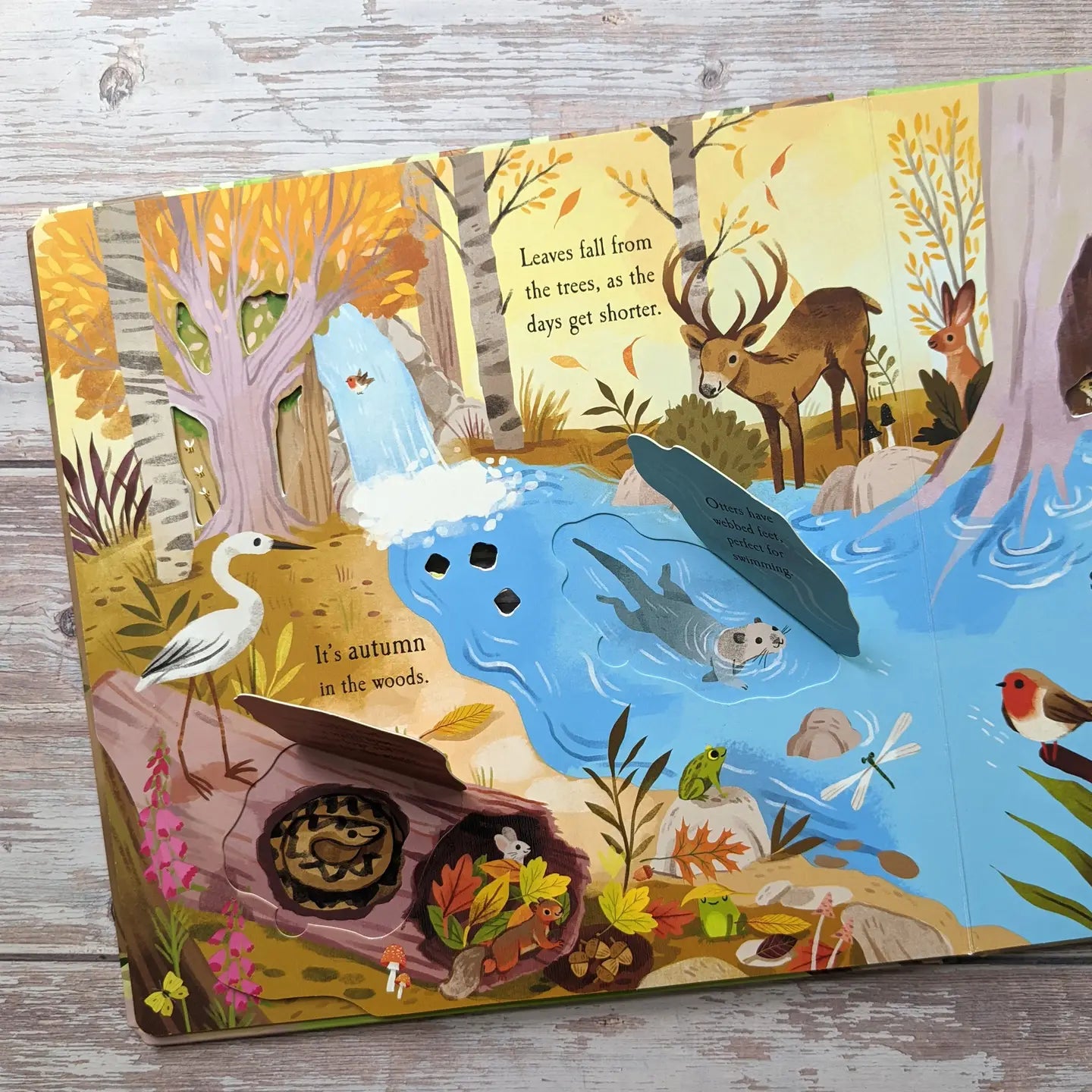 Book | Let's Explore (various)