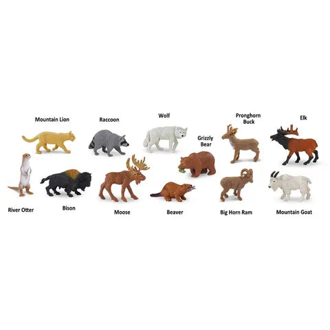 TOOBS | North American Wildlife