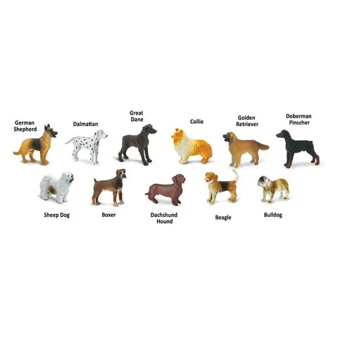 TOOBS | Dogs