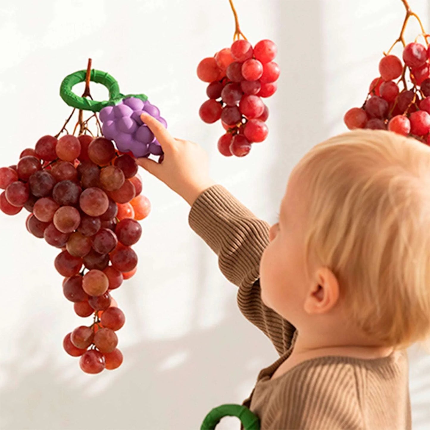 Oli & Carol | Grape Rattle