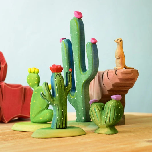 Bumbu | Cactus (various)
