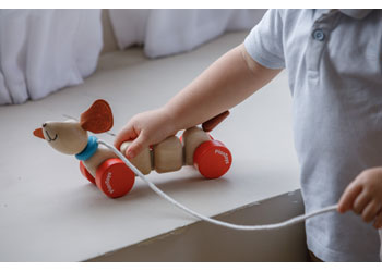Plan Toys | Happy Puppy