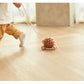 Plan Toys | Pull-Along Musical Hedgehog