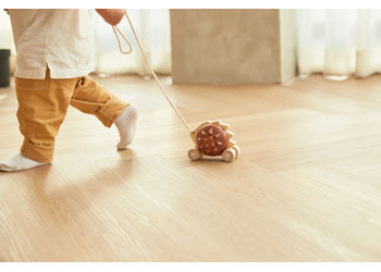 Plan Toys | Pull-Along Musical Hedgehog