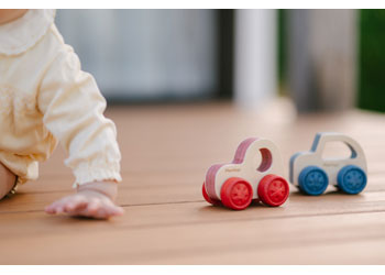 Plan Toys | Timber Trail (various)