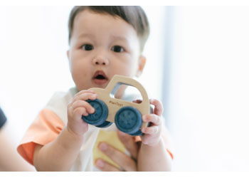 Plan Toys | Timber Trail (various)