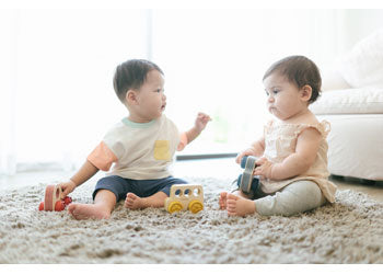 Plan Toys | Timber Trail (various)