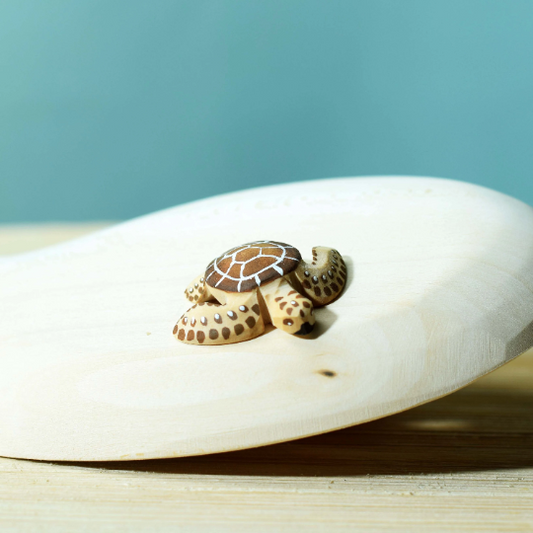 Bumbu | Baby Brown Turtle