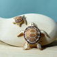 Bumbu | Baby Brown Turtle