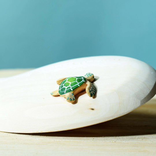 Bumbu | Baby Green Turtle