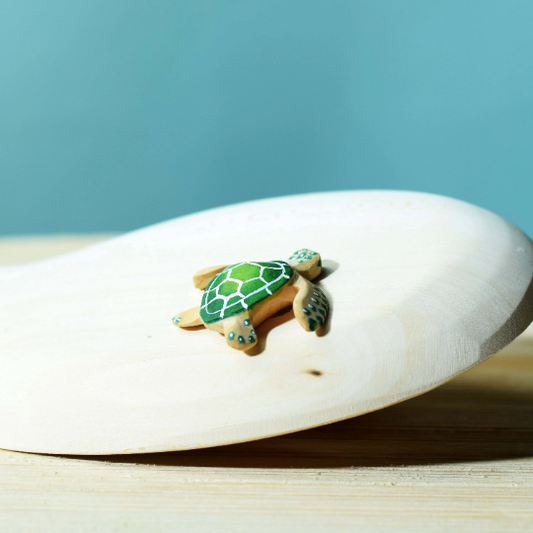 Bumbu | Baby Green Turtle